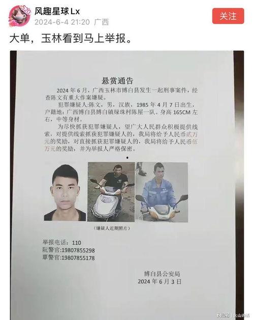 宁都爆料嫌疑人最新消息,嫌疑人最新动态揭秘